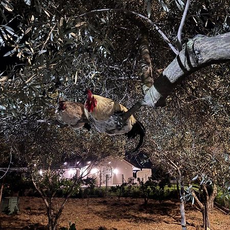 Le Potager Ξενοδοχείο Quartu SantʼElena Εξωτερικό φωτογραφία